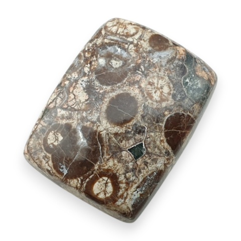 Leopard skin jasper cabochon 23x18 mm no 106