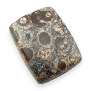 Jaspis leopardzi kaboszon 23x18 mm nr 106