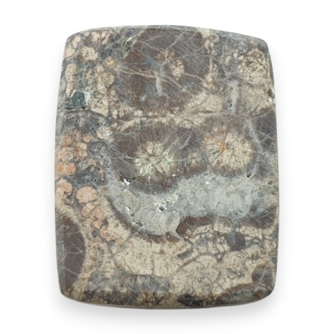 Leopard skin jasper cabochon 23x18 mm no 106