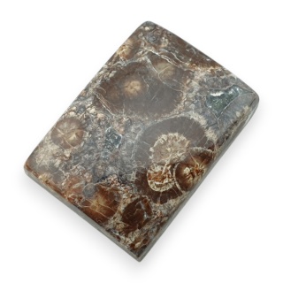 Jaspis leopardzi kaboszon 24x17 mm nr 84