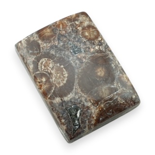 Jaspis leopardzi kaboszon 24x17 mm nr 84