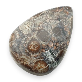 Jaspis leopardzi kaboszon 26x18 mm nr 107