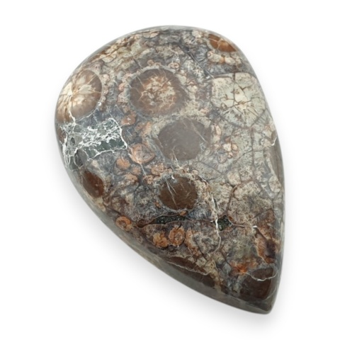 Jaspis leopardzi kaboszon 26x18 mm nr 107