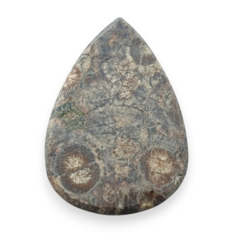 Jaspis leopardzi kaboszon 26x18 mm nr 107