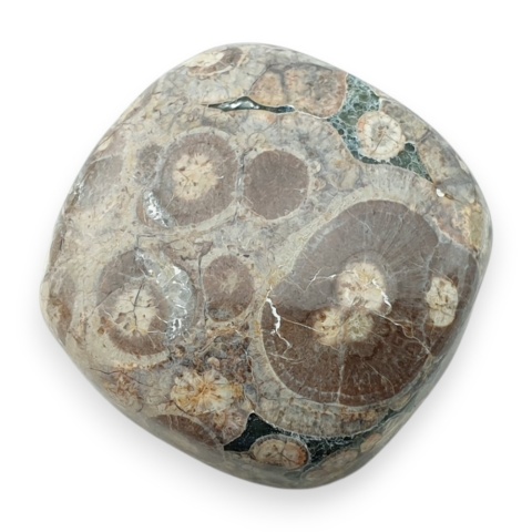 Jaspis leopardzi kaboszon 26x26 mm nr 78