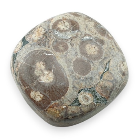 Jaspis leopardzi kaboszon 26x26 mm nr 78