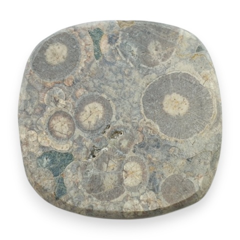 Jaspis leopardzi kaboszon 26x26 mm nr 78