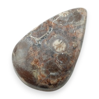 Jaspis leopardzi kaboszon 28x18 mm nr 96