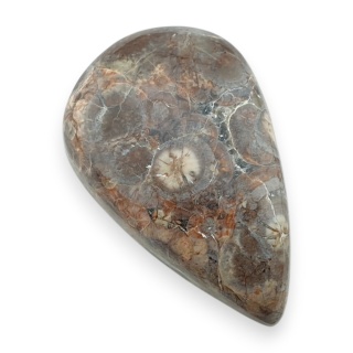 Jaspis leopardzi kaboszon 28x18 mm nr 96