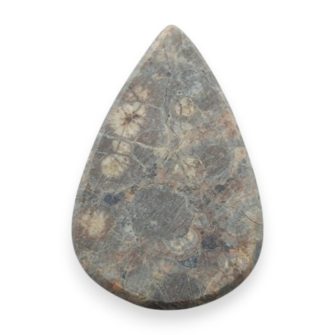 Jaspis leopardzi kaboszon 28x18 mm nr 96