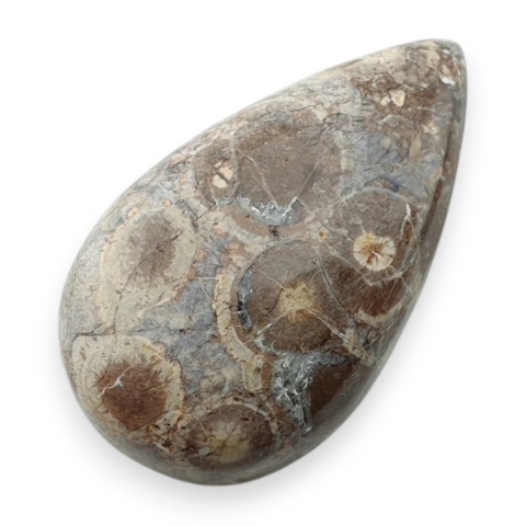 Jaspis leopardzi kaboszon 29x17 mm nr 102