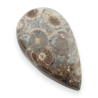 Jaspis leopardzi kaboszon 29x17 mm nr 102