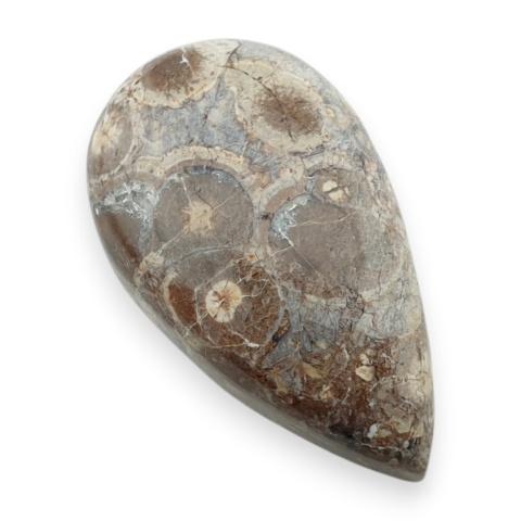 Jaspis leopardzi kaboszon 29x17 mm nr 102