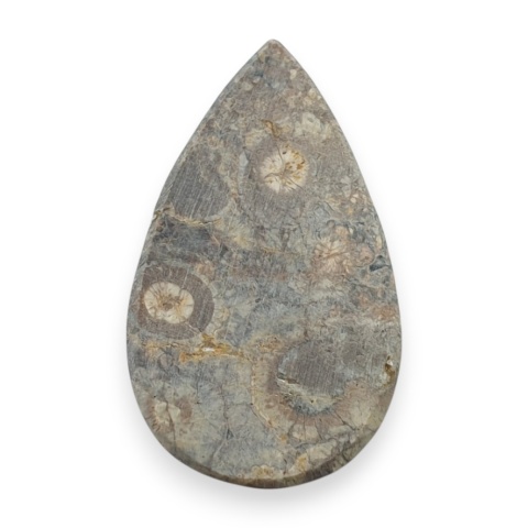 Jaspis leopardzi kaboszon 29x17 mm nr 102