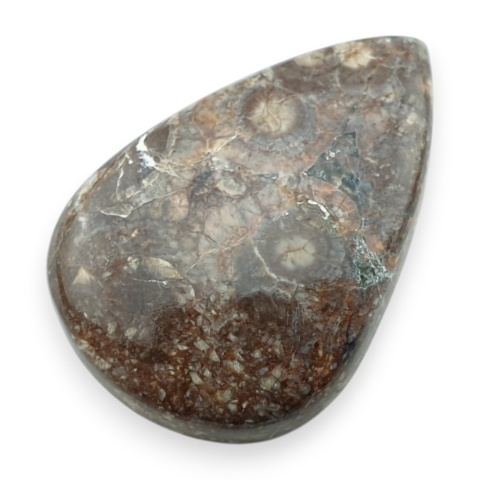 Jaspis leopardzi kaboszon 29x20 mm nr 75