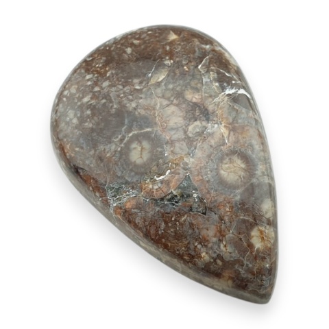 Jaspis leopardzi kaboszon 29x20 mm nr 75