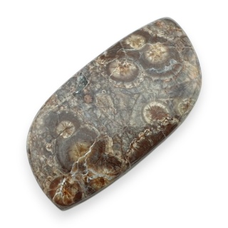 Jaspis leopardzi kaboszon 30x15 mm nr 91