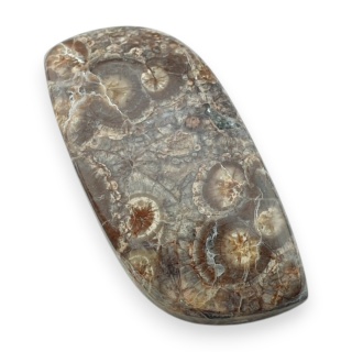 Jaspis leopardzi kaboszon 30x15 mm nr 91