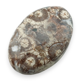 Jaspis leopardzi kaboszon 30x20 mm nr 88