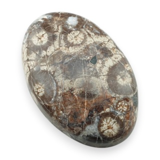 Jaspis leopardzi kaboszon 30x20 mm nr 88