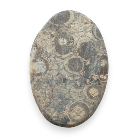 Leopard skin jasper cabochon 30x20 mm no 95