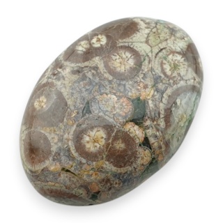 Jaspis leopardzi kaboszon 30x20 mm nr 99