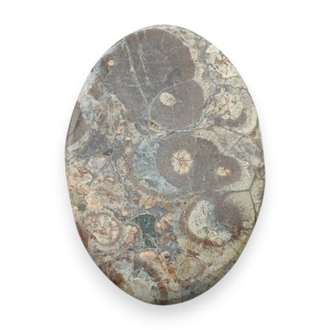 Jaspis leopardzi kaboszon 30x20 mm nr 99