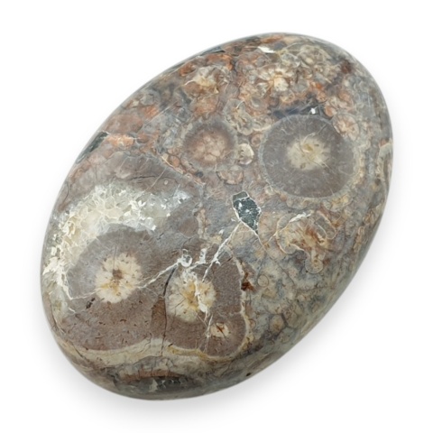 Leopard skin jasper cabochon 30x21 mm no 104