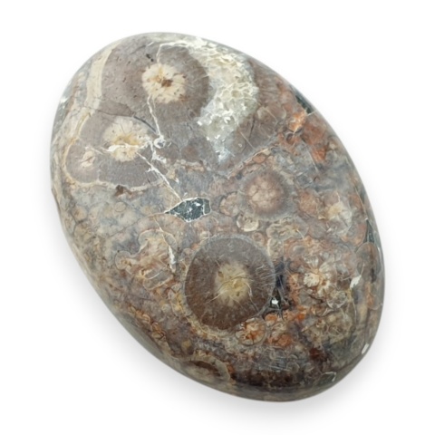 Leopard skin jasper cabochon 30x21 mm no 104