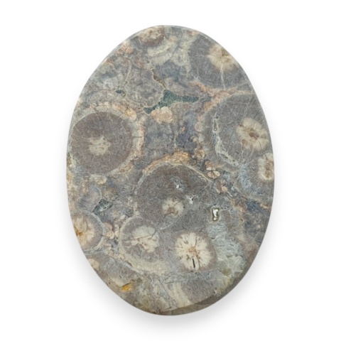 Leopard skin jasper cabochon 30x21 mm no 104