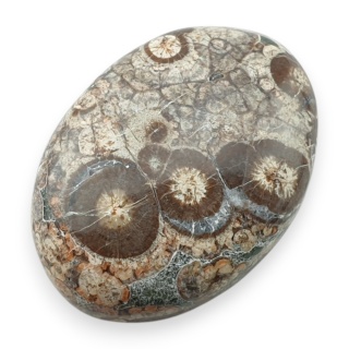 Jaspis leopardzi kaboszon 30x22 mm nr 94