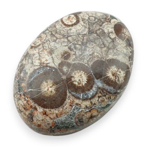 Leopard skin jasper cabochon 30x22 mm no 94
