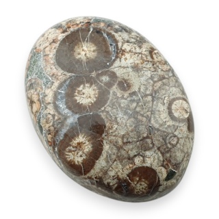 Jaspis leopardzi kaboszon 30x22 mm nr 94