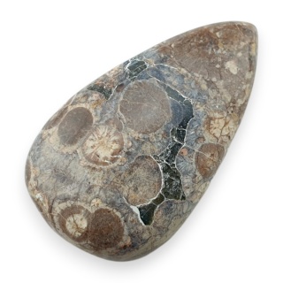 Jaspis leopardzi kaboszon 31x18 mm nr 98