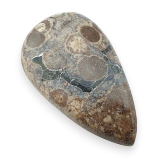 Jaspis leopardzi kaboszon 31x18 mm nr 98