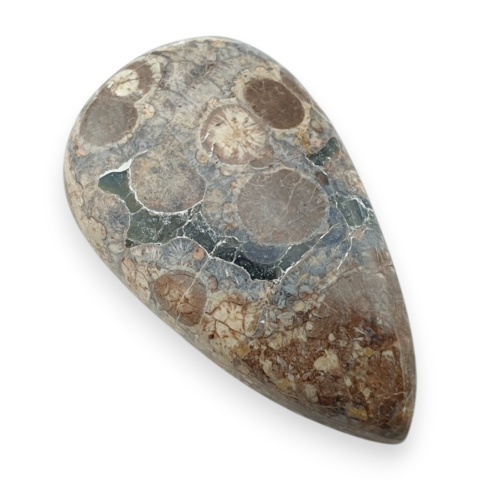 Jaspis leopardzi kaboszon 31x18 mm nr 98