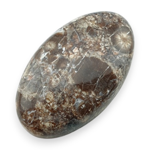 Leopard skin jasper cabochon 31x19 mm no 92