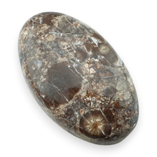 Jaspis leopardzi kaboszon 31x19 mm nr 92