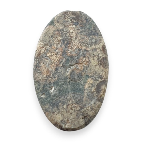 Leopard skin jasper cabochon 31x19 mm no 92