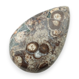 Jaspis leopardzi kaboszon 31x20 mm nr 105