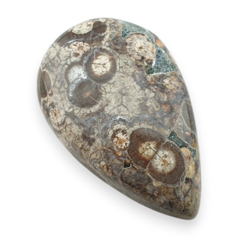 Leopard skin jasper cabochon 31x20 mm no 105