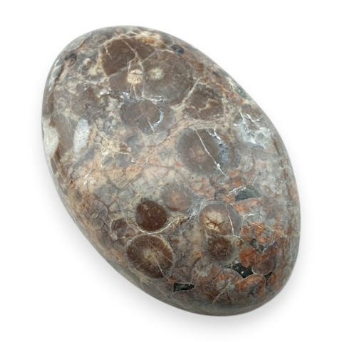 Jaspis leopardzi kaboszon 32x21 mm nr 77