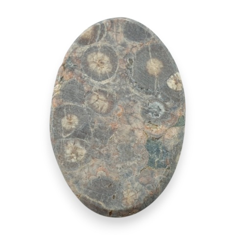 Jaspis leopardzi kaboszon 32x21 mm nr 77