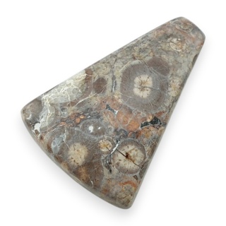 Jaspis leopardzi kaboszon 32x23 mm nr 83