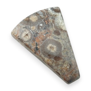 Jaspis leopardzi kaboszon 32x23 mm nr 83