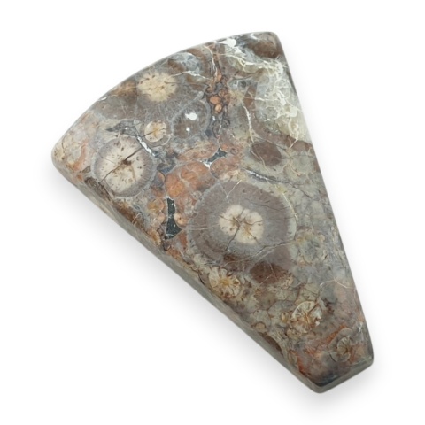 Jaspis leopardzi kaboszon 32x23 mm nr 83