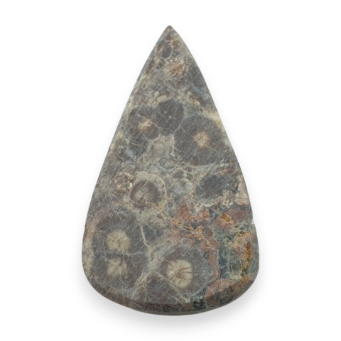 Leopard skin jasper cabochon 33x19 mm no 86