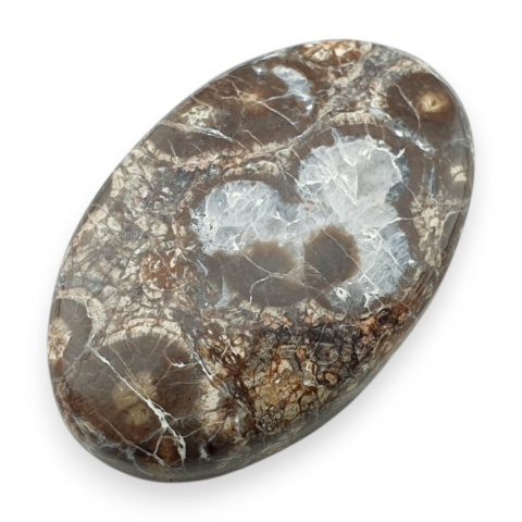 Jaspis leopardzi kaboszon 33x21 mm nr 87