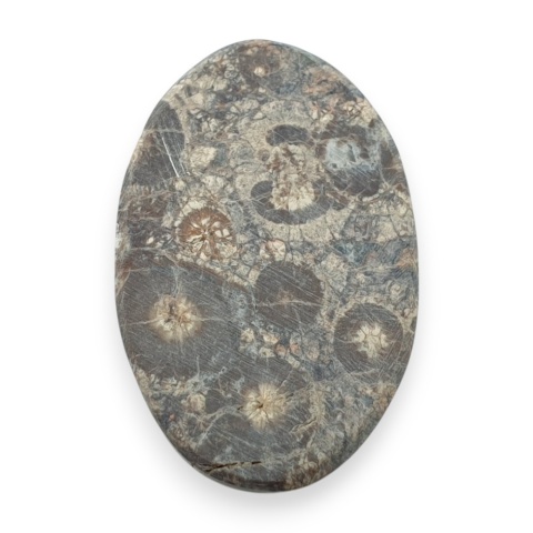 Jaspis leopardzi kaboszon 33x21 mm nr 87