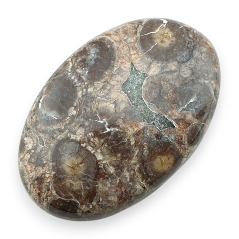Leopard skin jasper cabochon 33x22 mm no 100